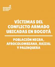 Portada_Ficha_Afro_2026